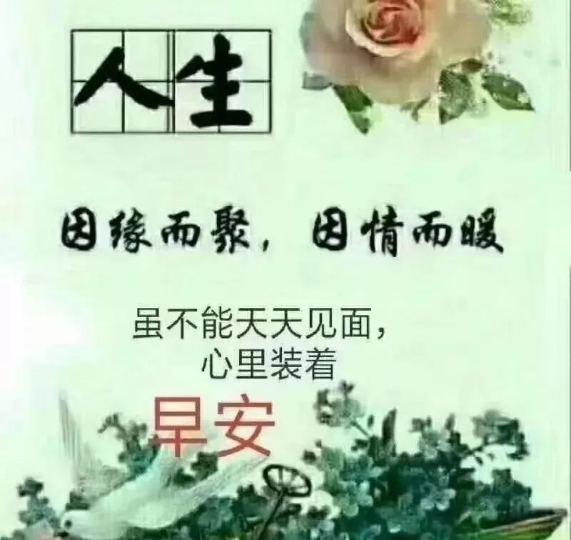 清晨早上好祝福图片 早安问候祝福图片带字 繁花似锦、发财顺心图片