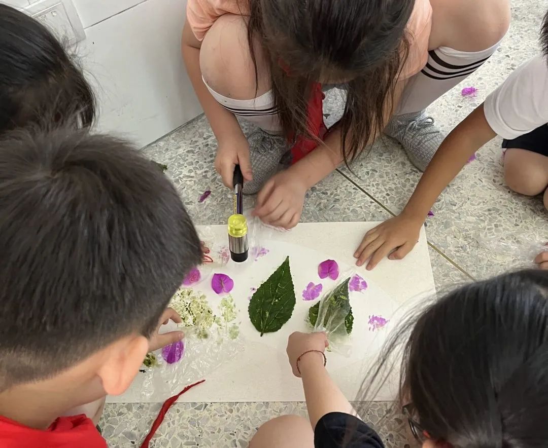 节气深耕.芒种节气｜成都高新区朝阳小学开展丰富多彩的节气活动