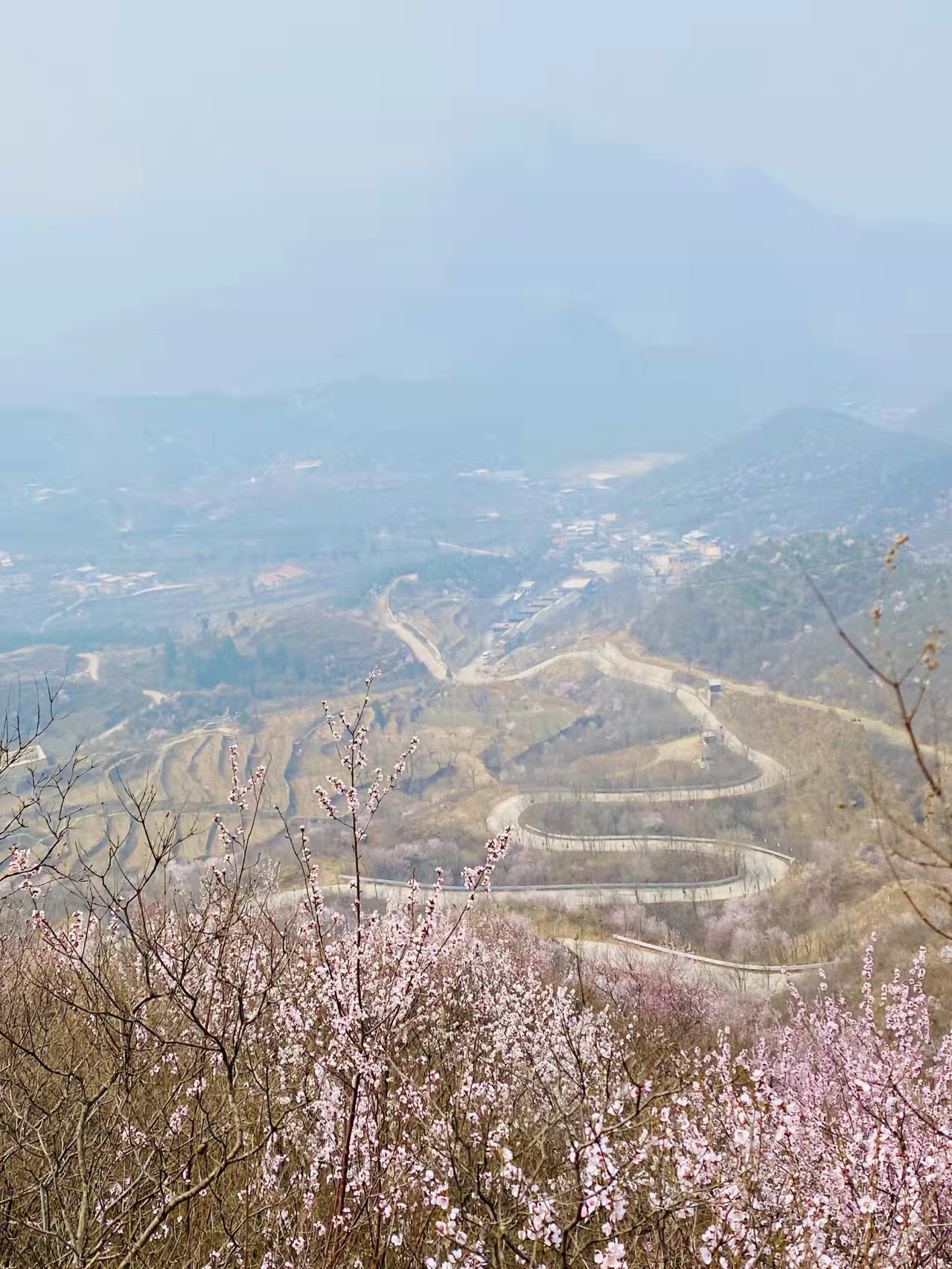 疫情不出京，北京周邊游攻略，賞花玩水樣樣都有