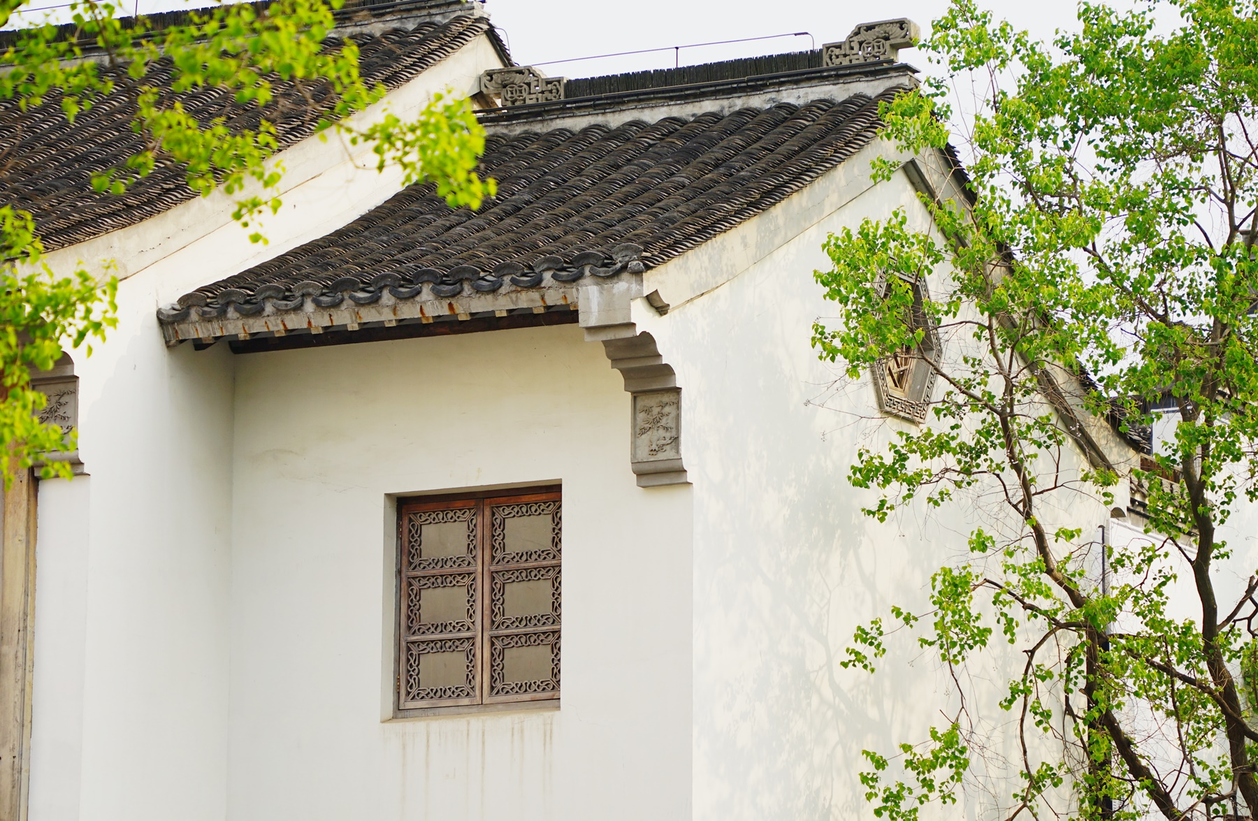 南京最文艺的四个地方，诗意满满全都免费