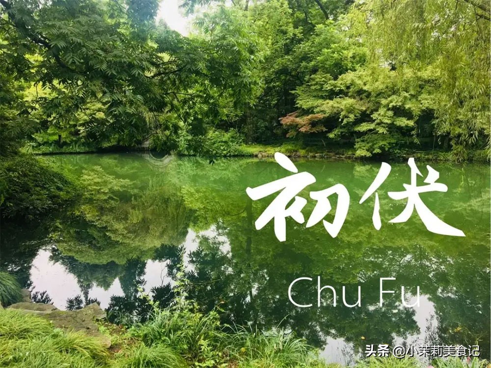 建议少吃西红柿和黄瓜(建议少吃西红柿和黄瓜英语)