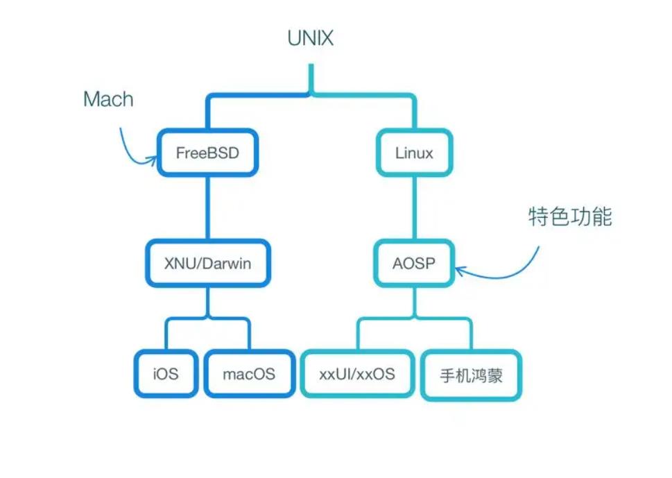 大家可以看到unix是linux,ios,macos,安卓aosp,鸿蒙等系统的起源,大家