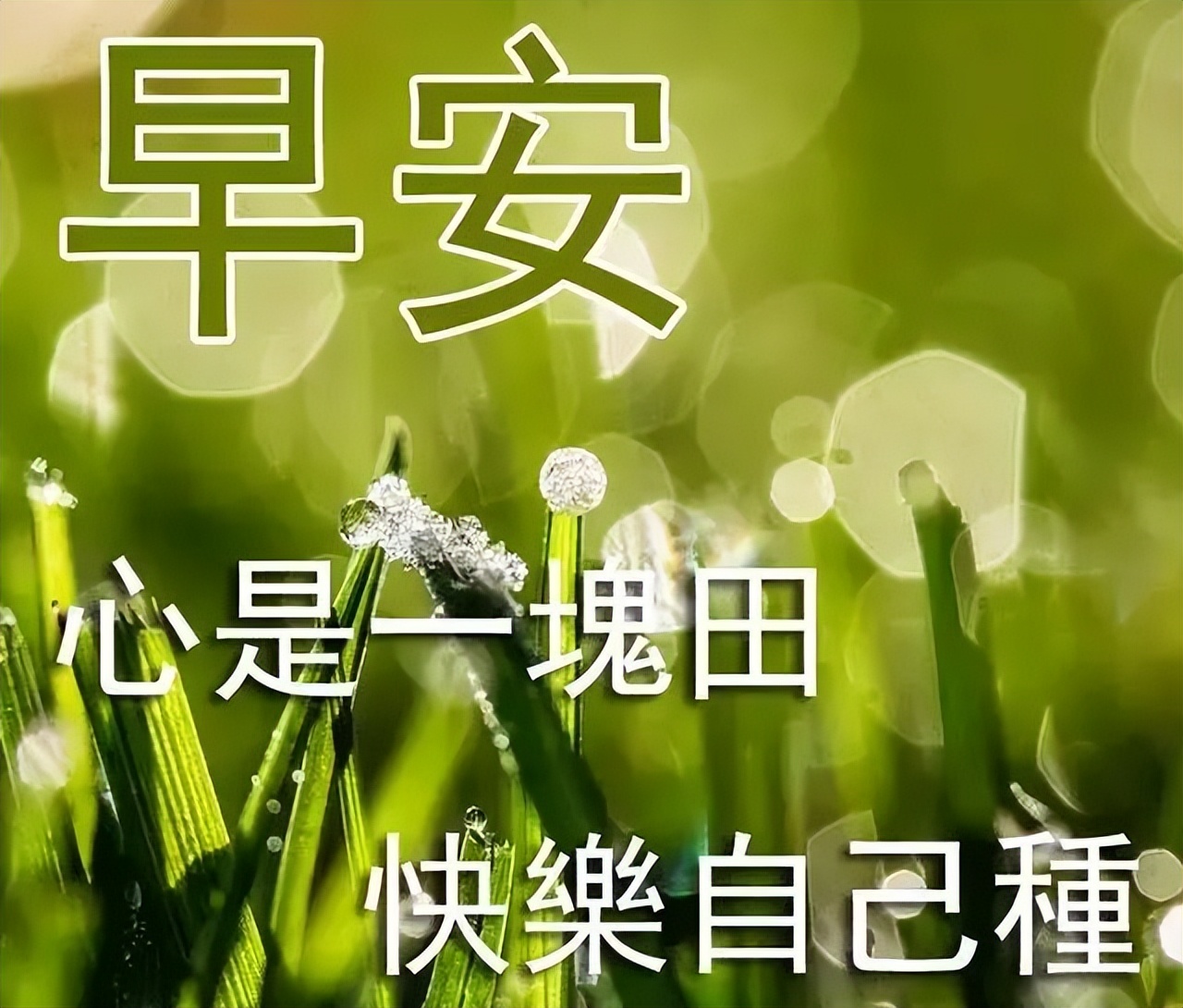 早上好温馨问候祝福语图文精选 平安健康、欢欣喜悦图片
