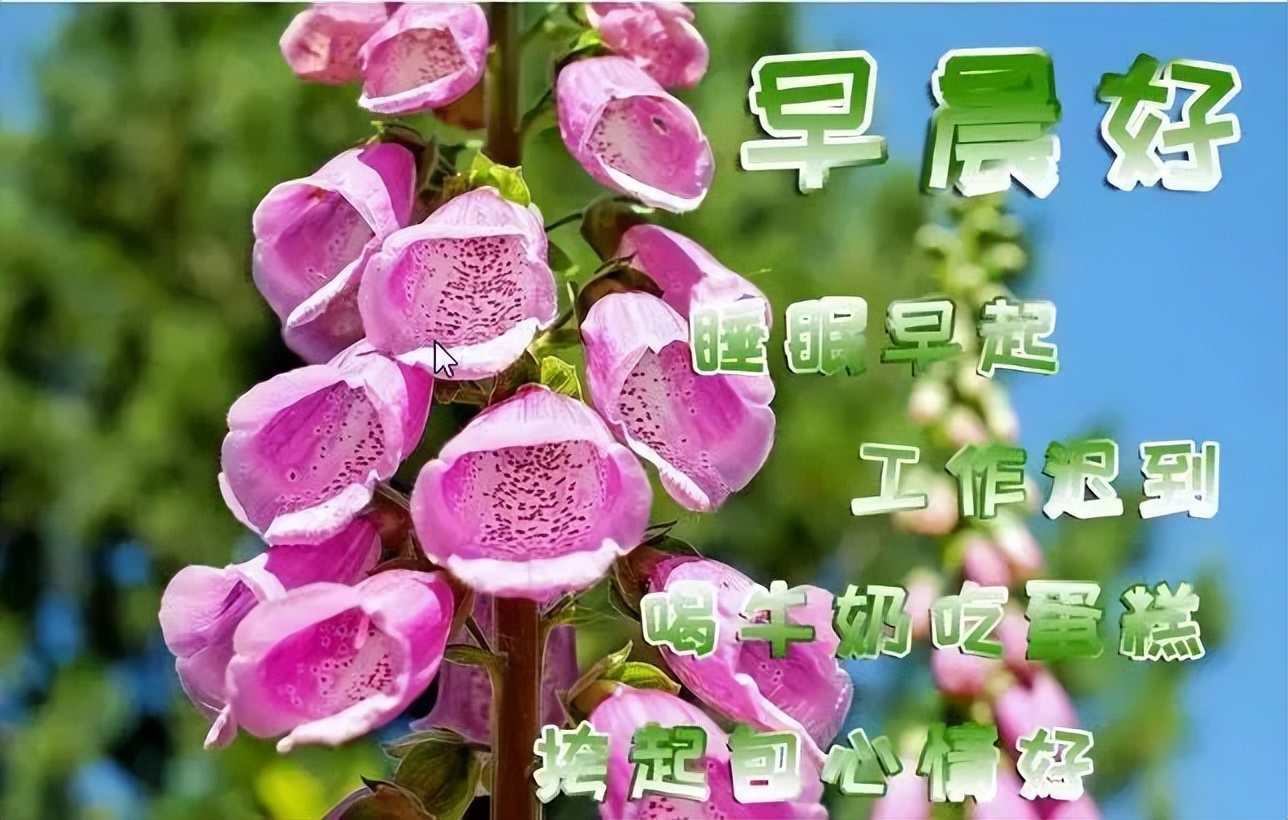 微信早晨好表情动态图 朋友圈早安暖心句子 祝愿福慧平安、事事顺心图片