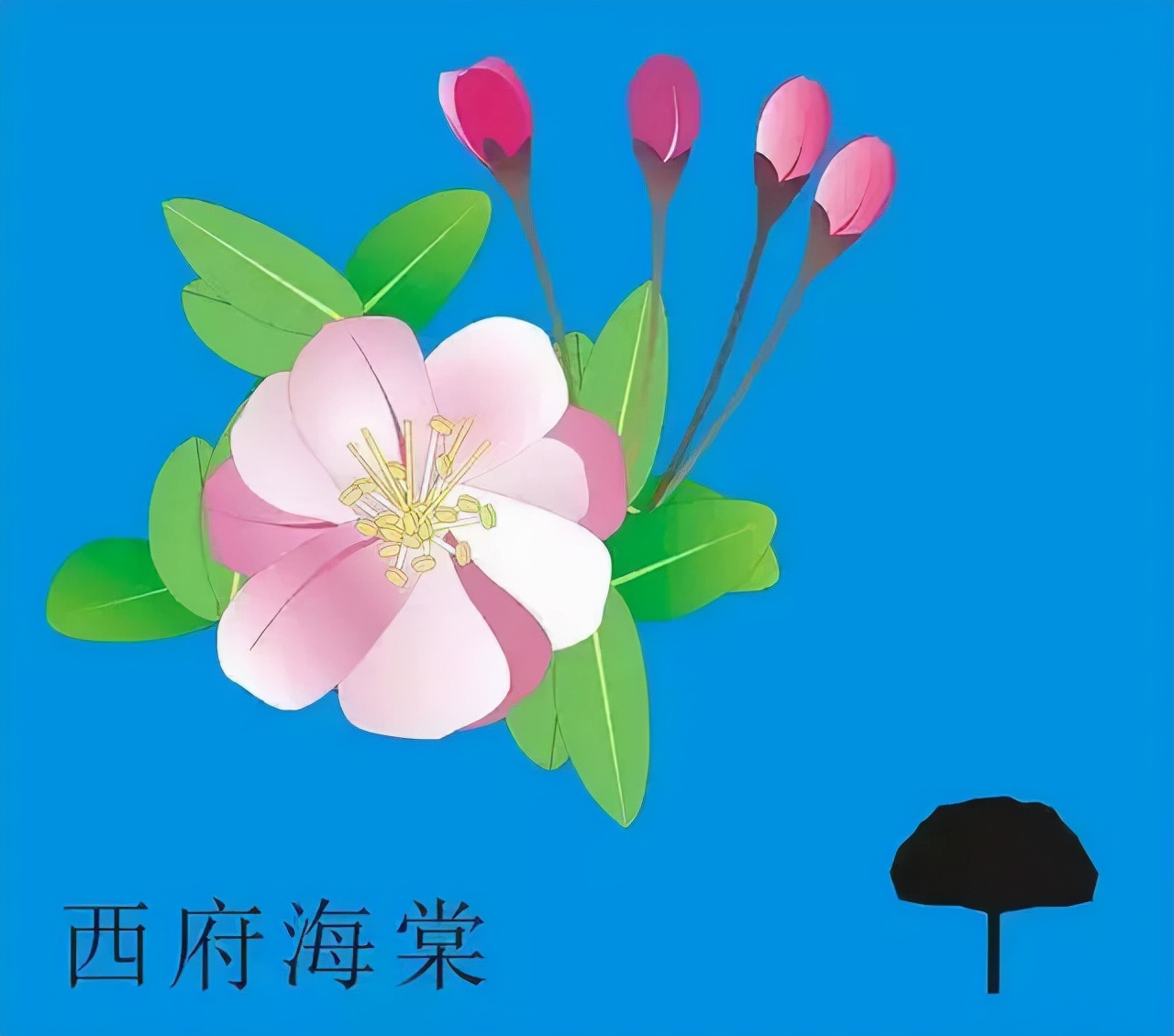 又到了樱梅桃李梨杏海棠……盛开的季节！脸盲吗？看这个