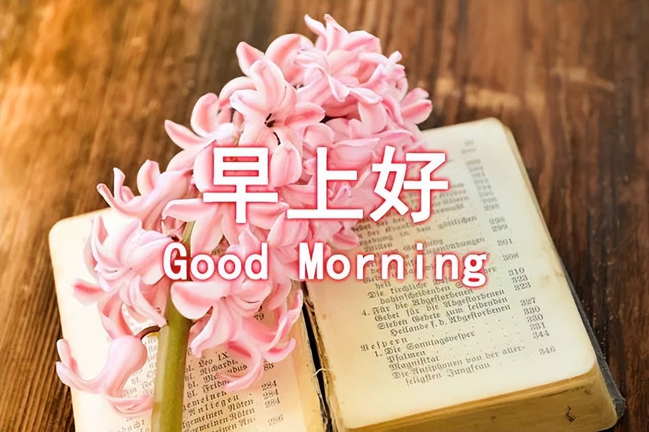 星期三早上好 愿问候如清新早晨抚慰你 别在最好年纪辜负最好自己图片