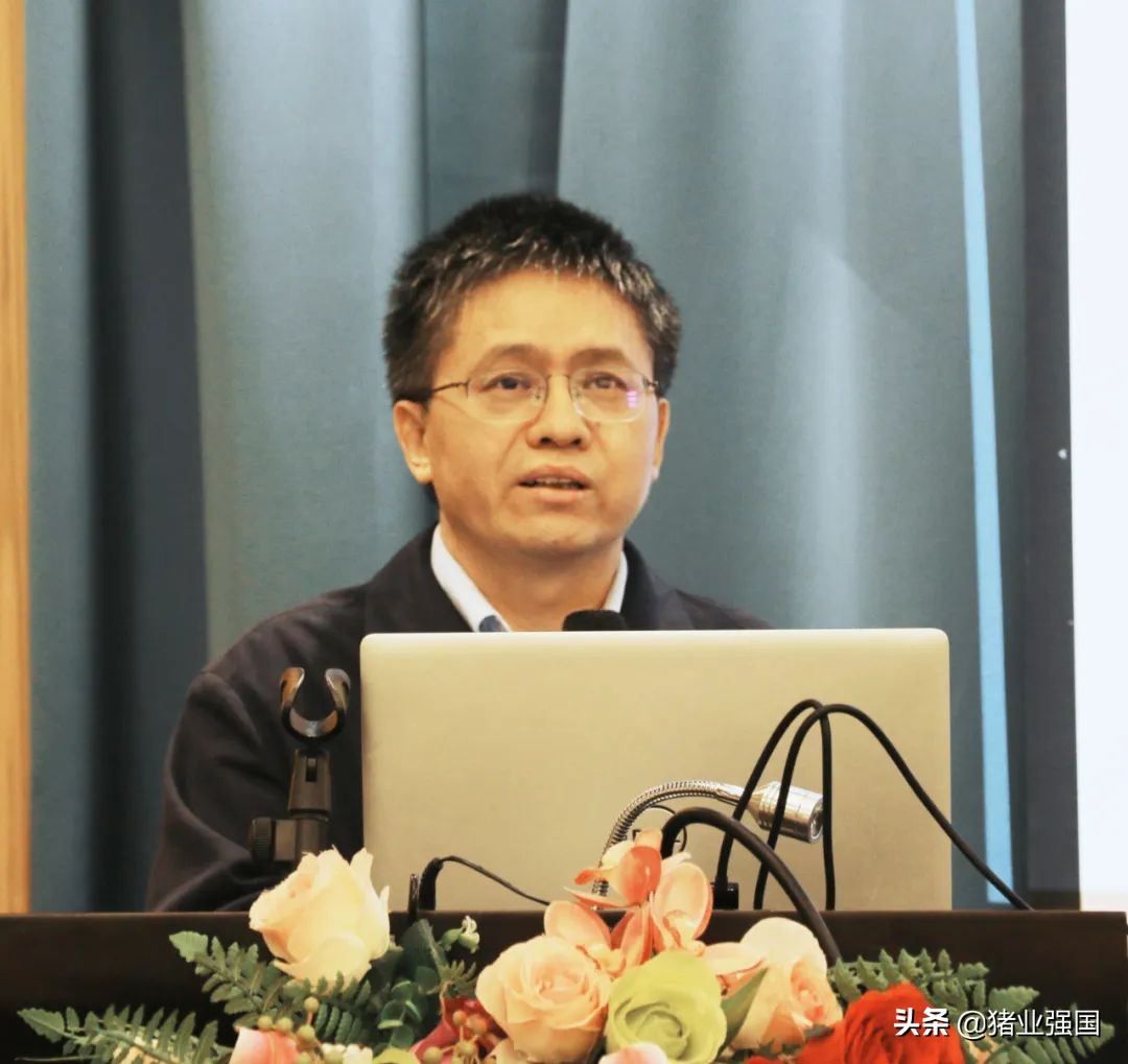 广东能繁母猪存栏188万头！一季度前10名生猪企业出栏量达到310.37万头