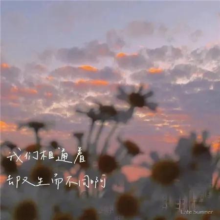 经营爱情：懂珍惜，会包容，方得始终