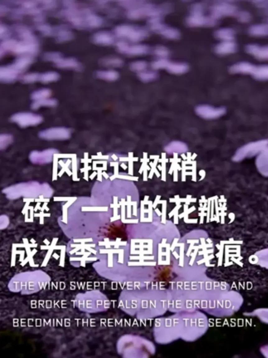 关于花的唯美文案｜你自山河林间来，惊鸿一现百花开