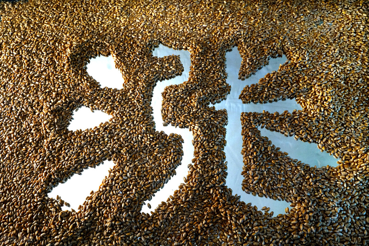 卖场，信用等级降低，集团化猪场在这波亏损中还能扛多久？