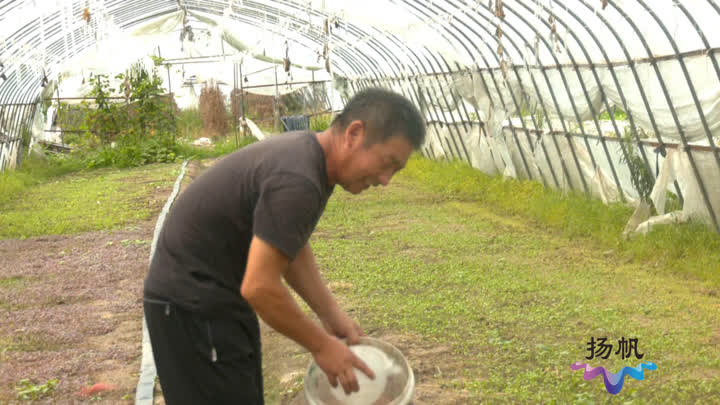 @买菜人 天不“架势”菜价猛涨_我苏网