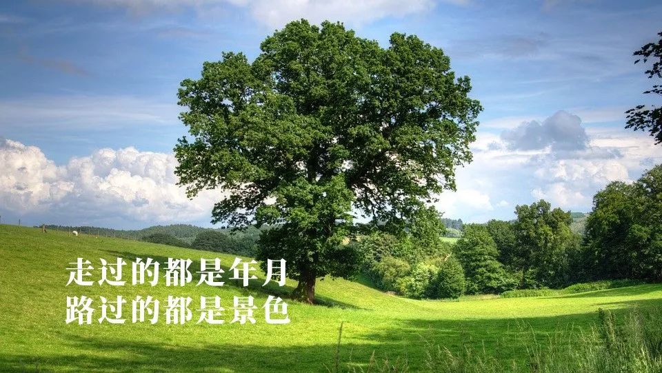 周三早上好问候祝福动态表情图片 幸福常在、好运常来图片