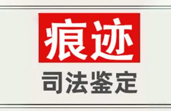 大学生写的“鲸落字体”火了，独特可爱又唯美，深受不少学生喜欢