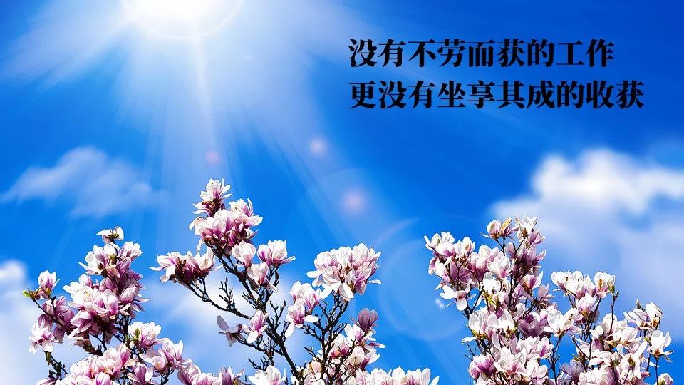 周二早上好温馨祝福句子送给大家 早安我的朋友，心好一切都好图片