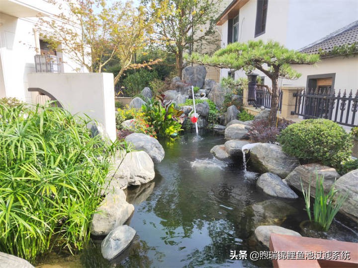 煦瑞生态水如何把拆除的旧池建造成标杆鱼池？鱼池过滤系统揭秘