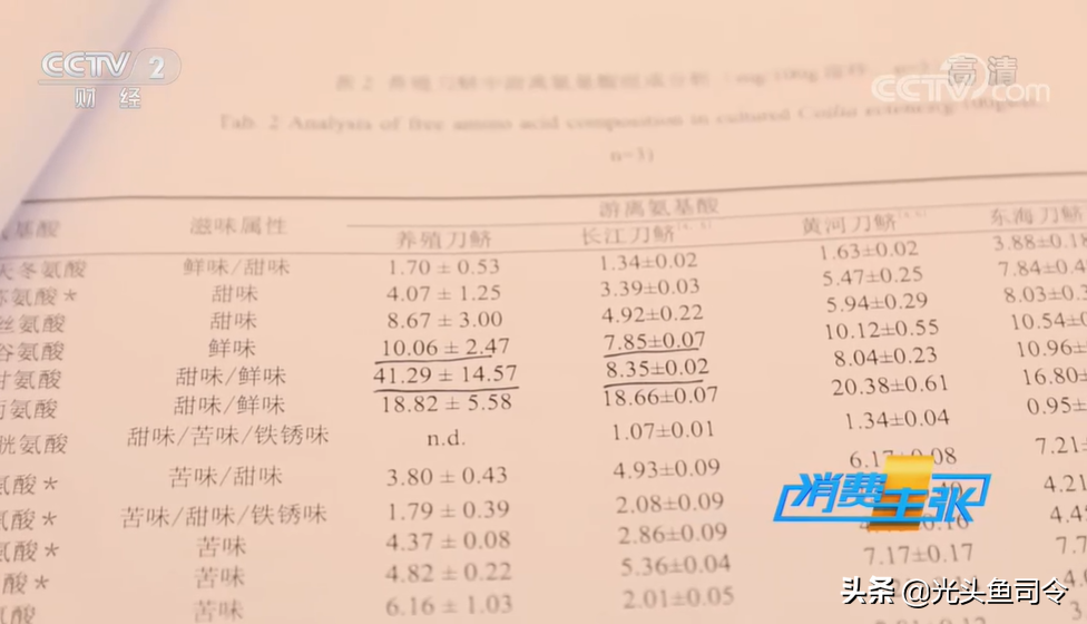 万元一斤的长江刀鱼，人工养殖成功，未来价格能否降到猪肉价？