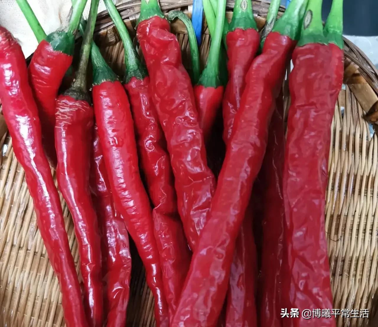 四川美女从上海回老家当会计，晒出午餐伙食走红，发小：想回来