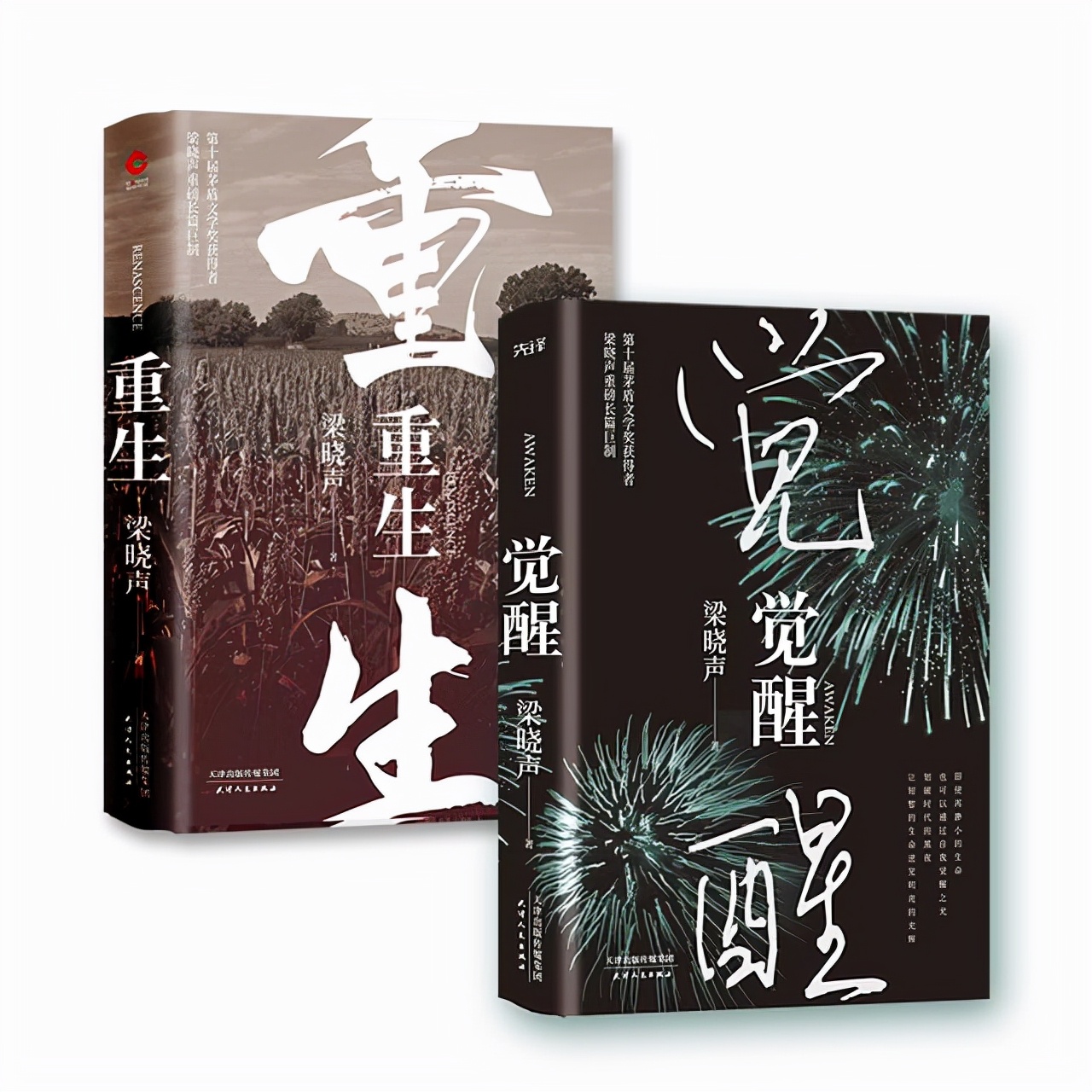 浴血奋战只为重整河山，五部抗战小说推荐