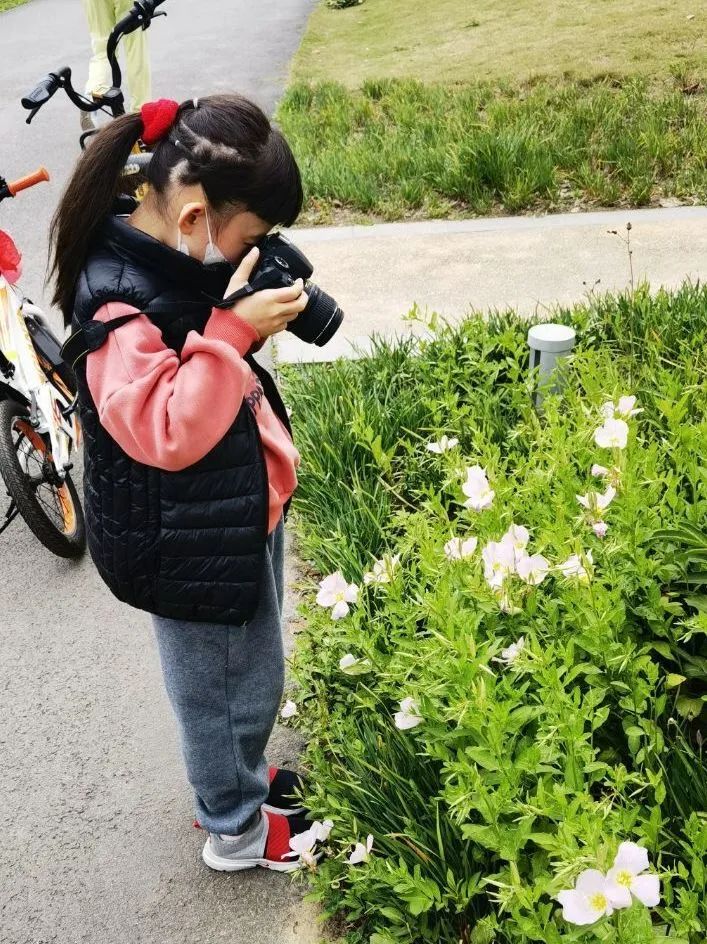 成都高新区朝阳小学开展“节气深耕·清明节气”主题活动