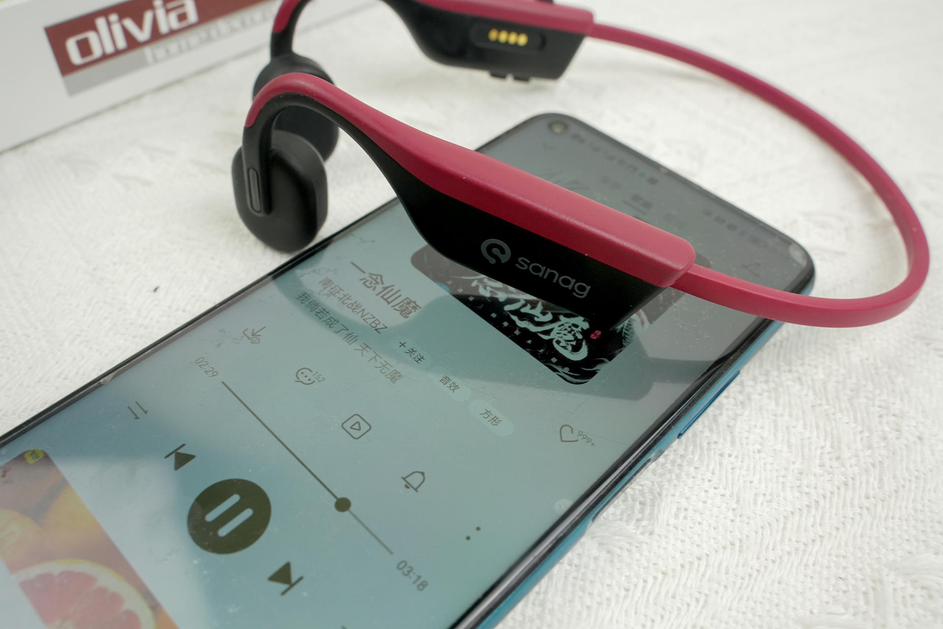IPX8级防水、32G内存、HiFi音质！旗舰级配置的sanag塞那A9S体验