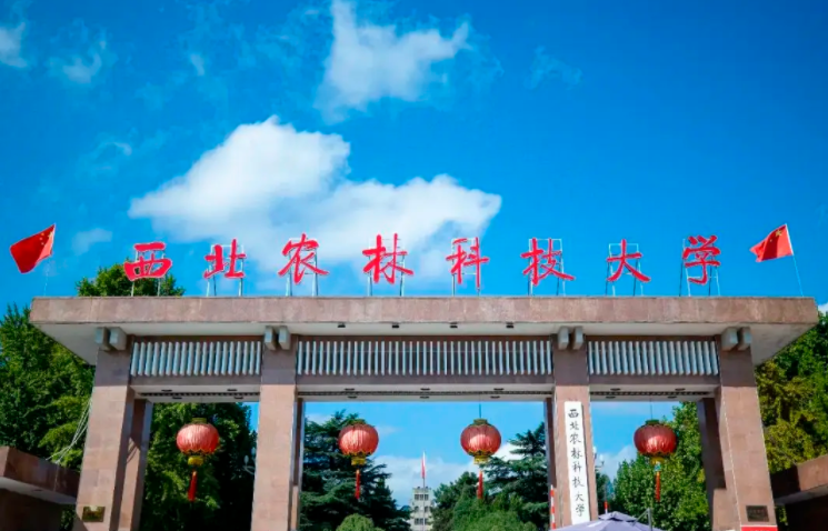 性价比超高的3所985，最少的分数上最好的大学，适合考生捡漏