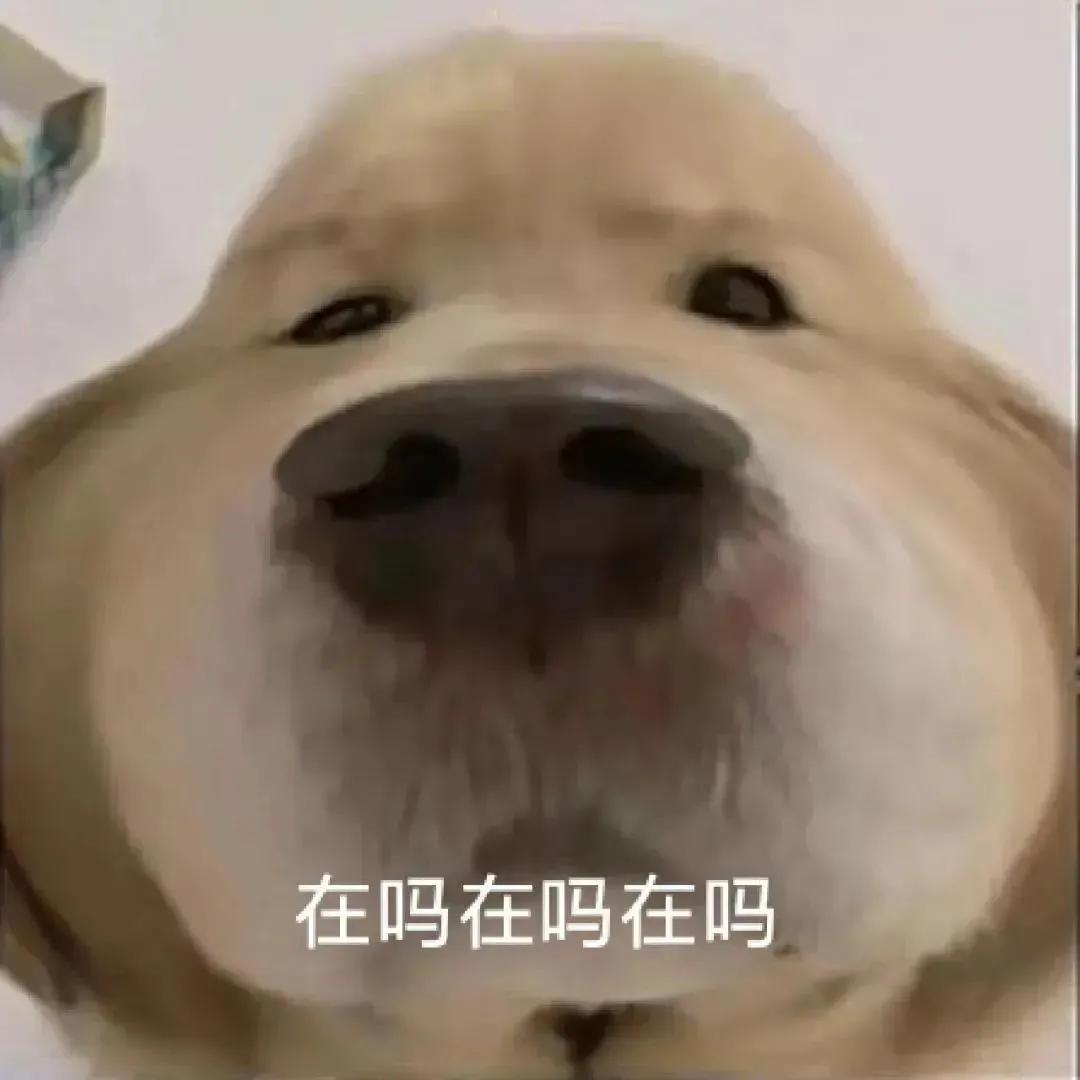 沙雕表情包搞笑gif