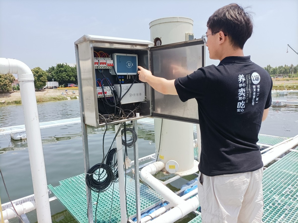 从鼓口袋到富脑袋，优鱼技术让北漂十年的小伙故乡圆梦