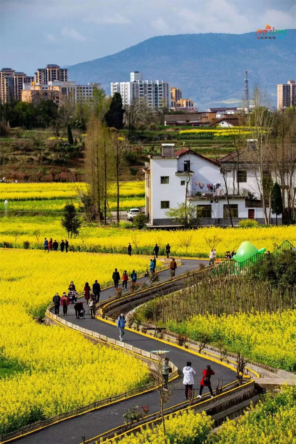醉美拍點推薦 | 壯美！陜西南鄭油菜花海登陸央視新聞“春天里的中國”