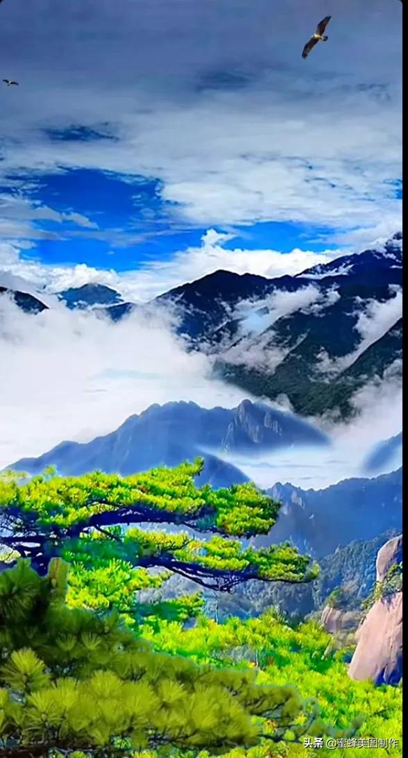 如果您也喜歡大自然美景,花卉植物,各種蔬果,花鳥,青山碧水,壁紙,就