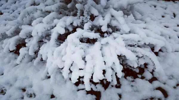 不一样的支教，不一样的人生，记录我在藏区学校支教的日子