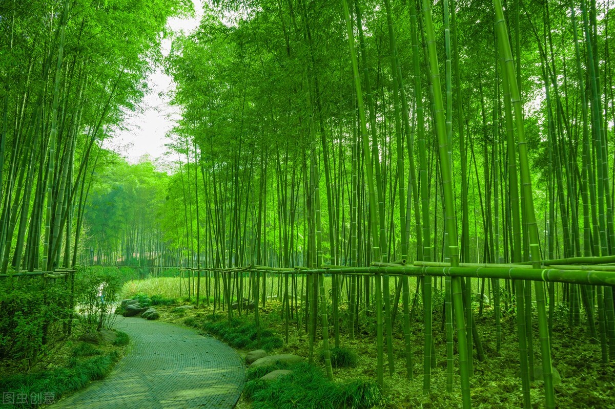 古诗中的“鲤庭”、“烟霞”、“罗浮”、“青鸟”都是什么意思？