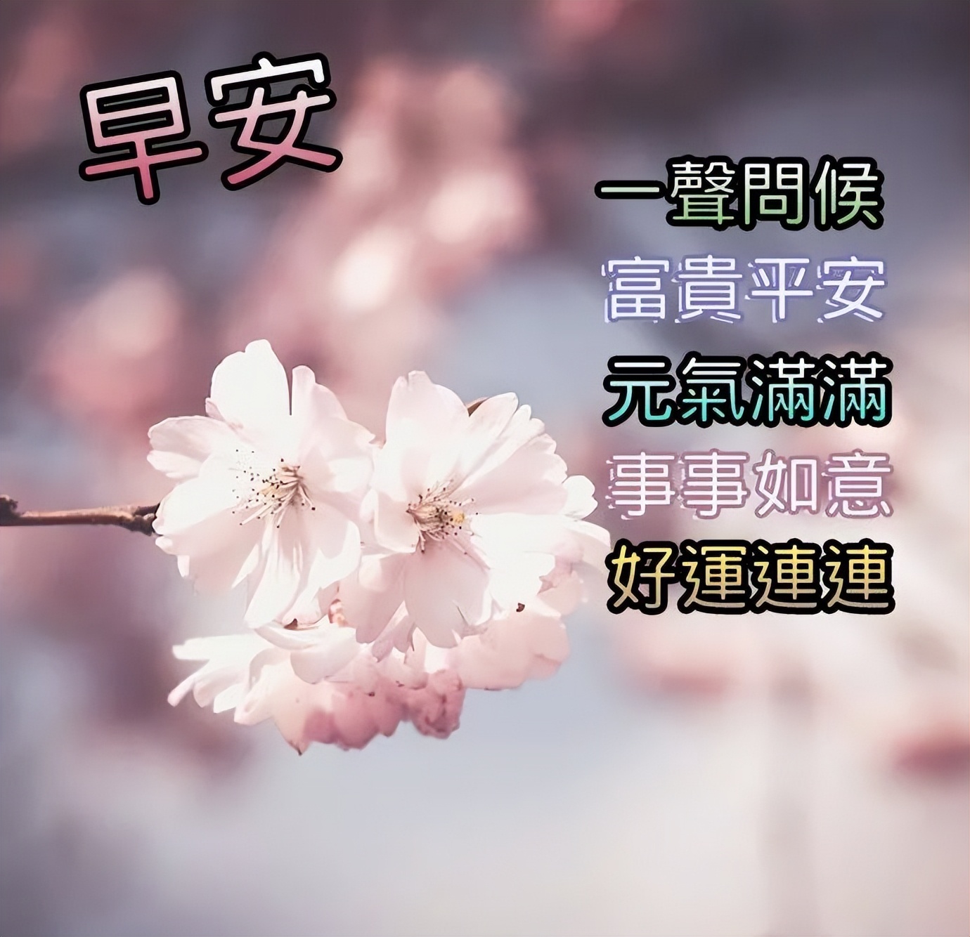 清晨早上好祝福图片 早安问候祝福图片带字 繁花似锦、发财顺心图片