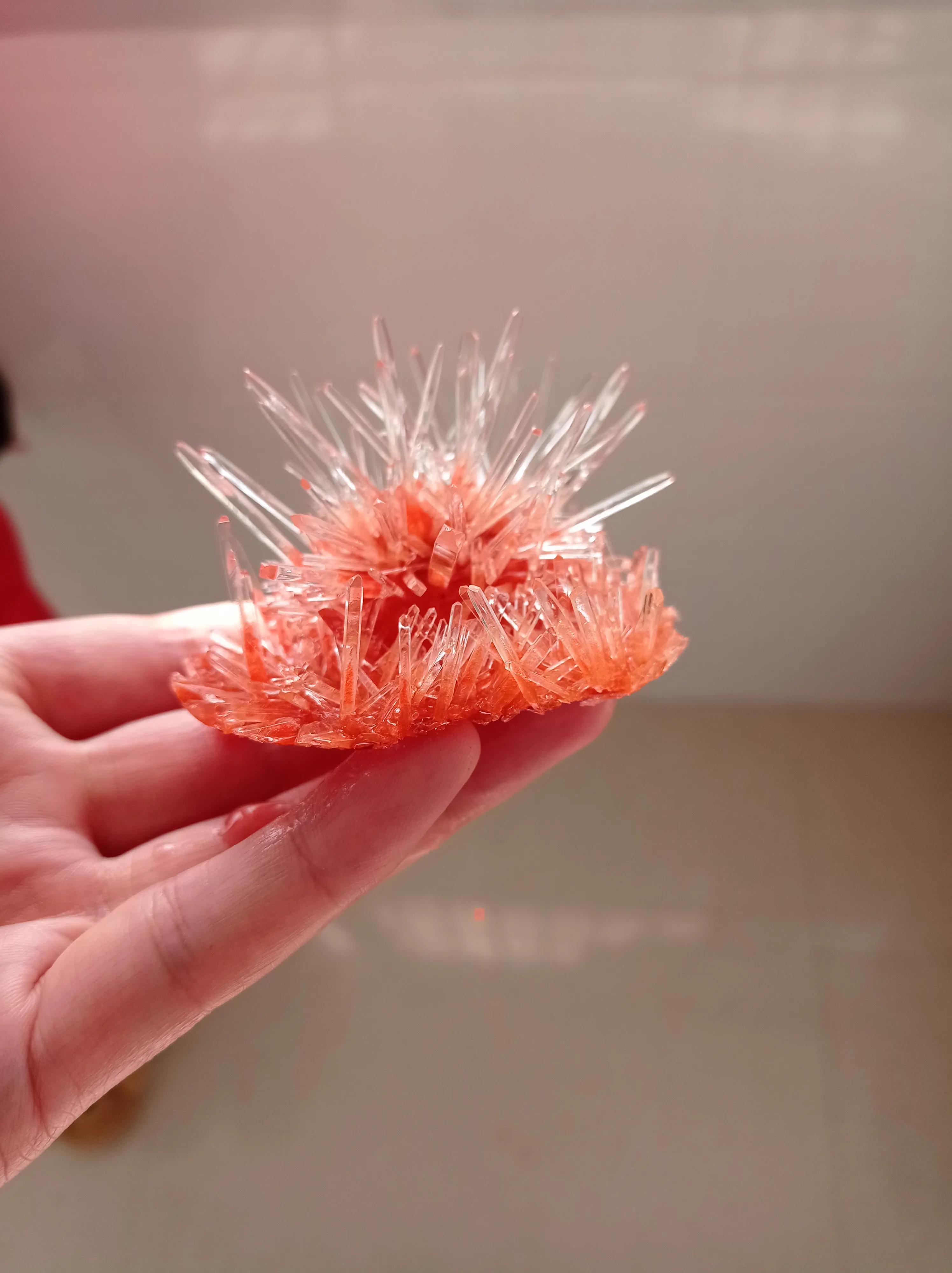 现在的熊孩子，生日礼物太难挑，娃娃、绘本都扔一边……