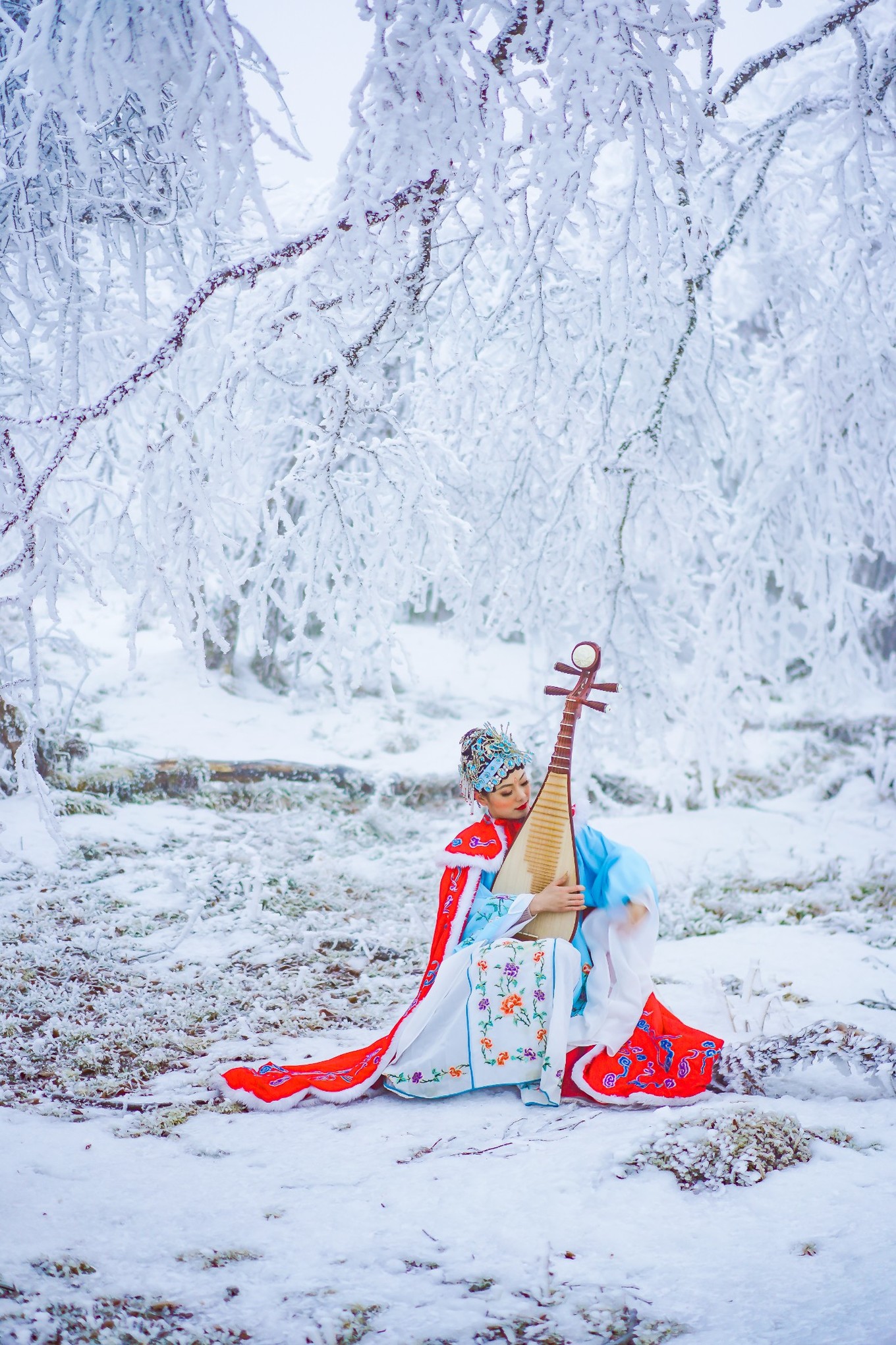 云海之上，贡嘎之巅，王岗坪冰雪之旅
