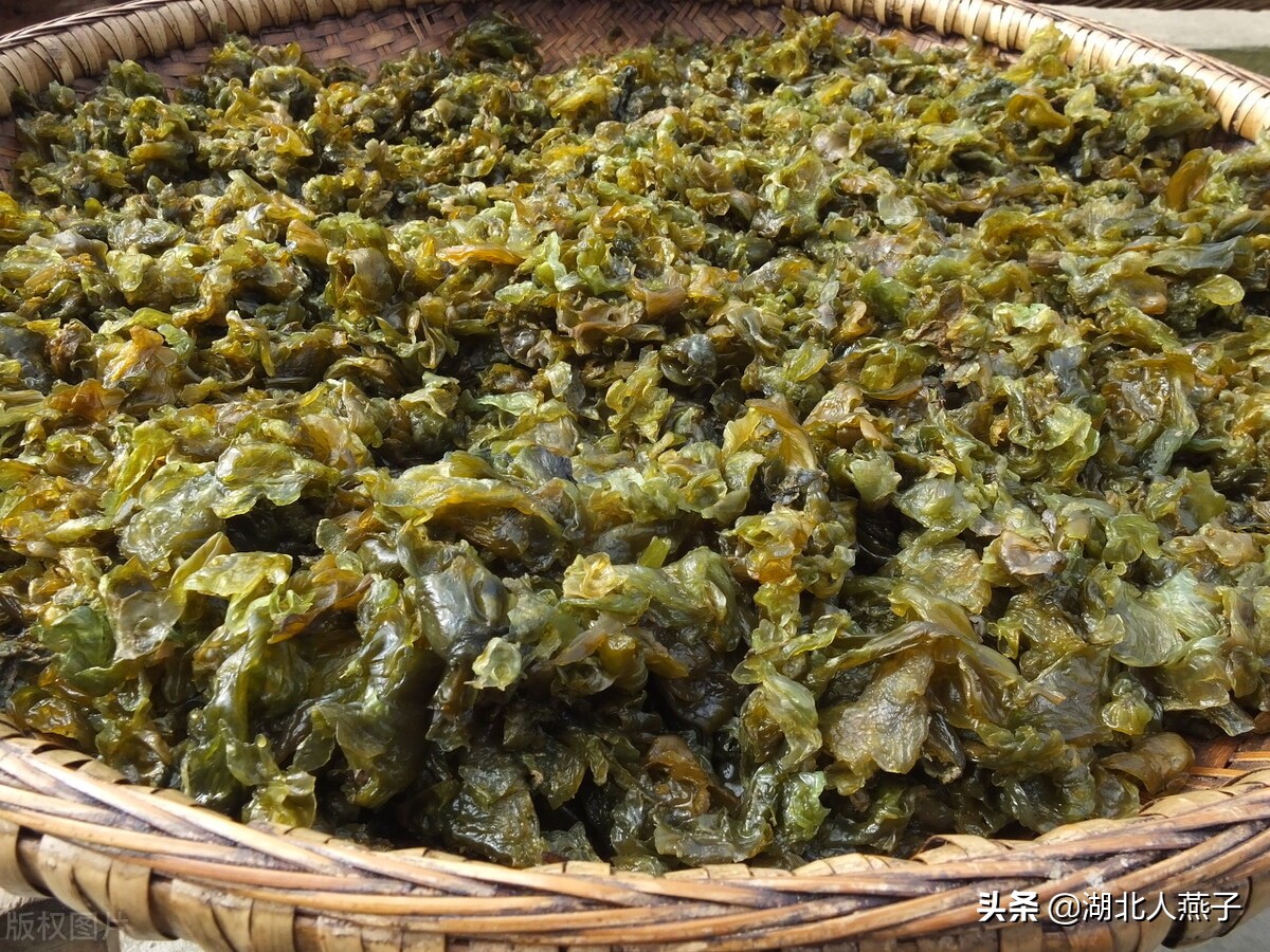 55种野菜大图片，带你见识不同的野菜和吃法，你想要的野菜这里有