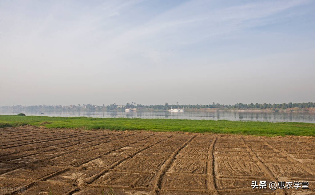 粮食补贴包括什么？怎么申请？2022年各地粮食补贴政策最新标准