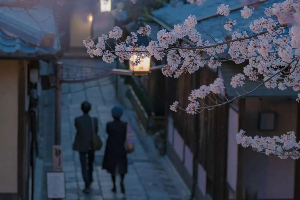 雨落在·院子，梦在远方