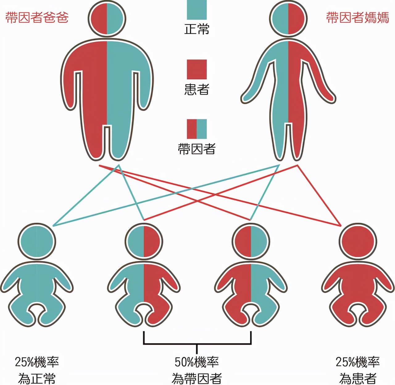 血常规能查什么病？报告怎么看？医生表示：关键看三个指标