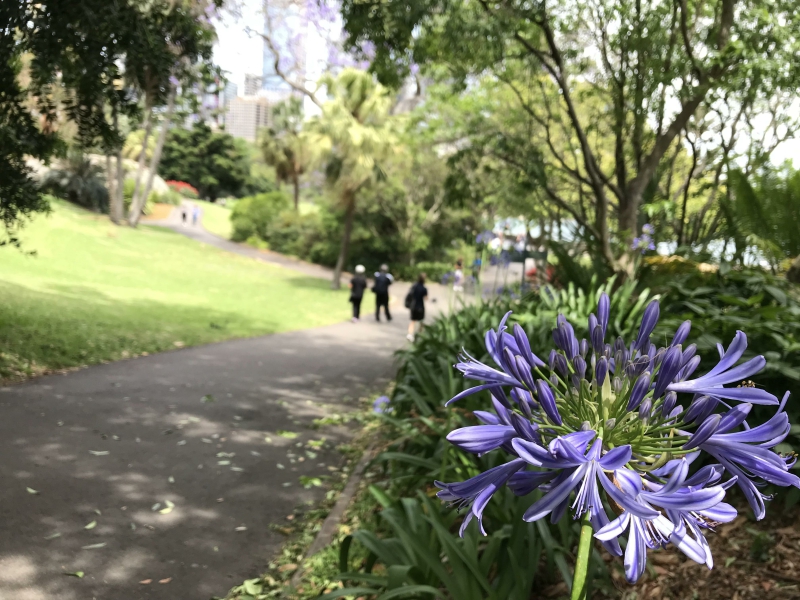 南洋理工大学硕士研究生申请条件