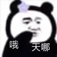 理直气壮地做一个啥都不行的人