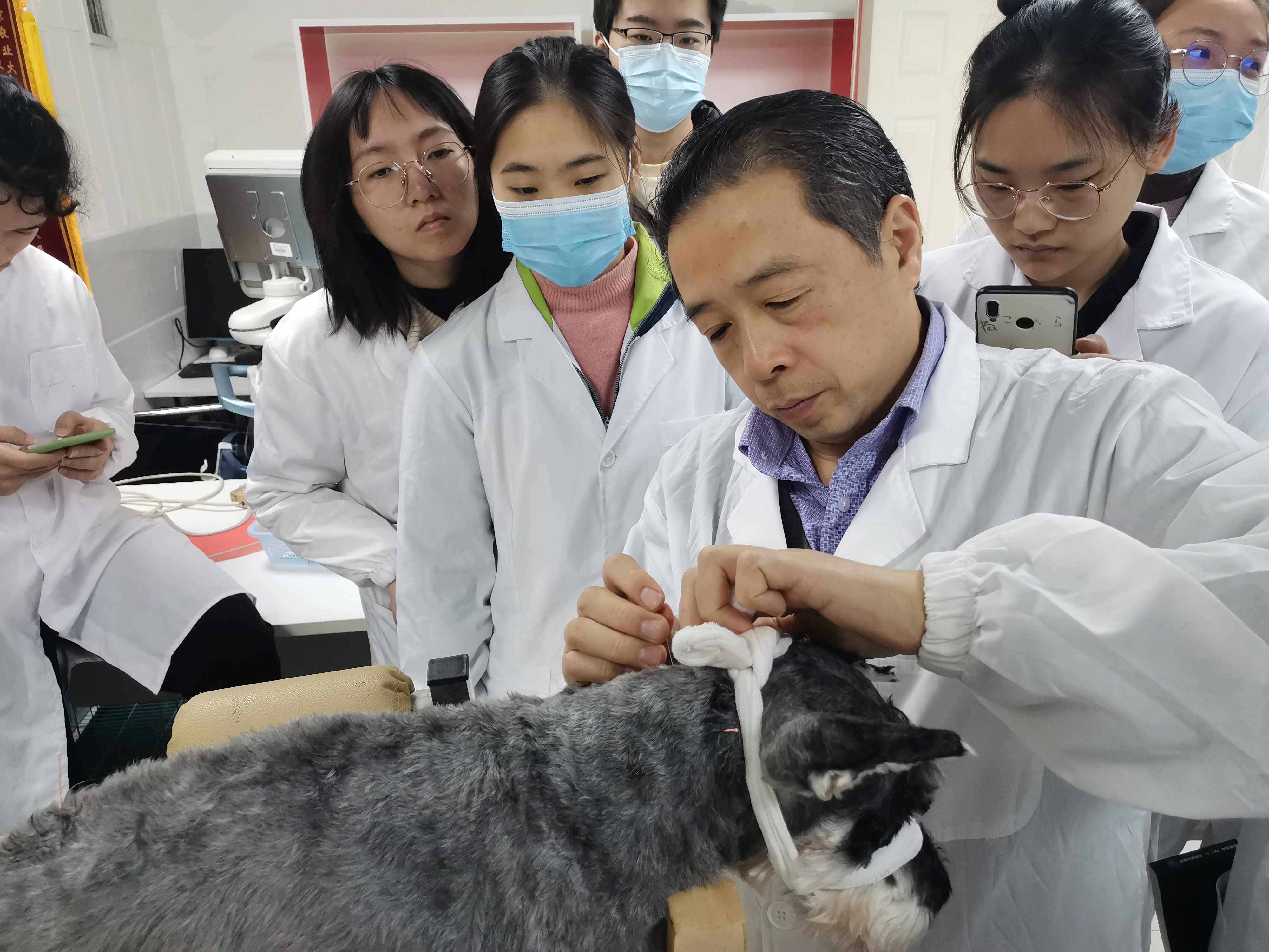 南京农业大学动物医学院（给猫狗把脉）