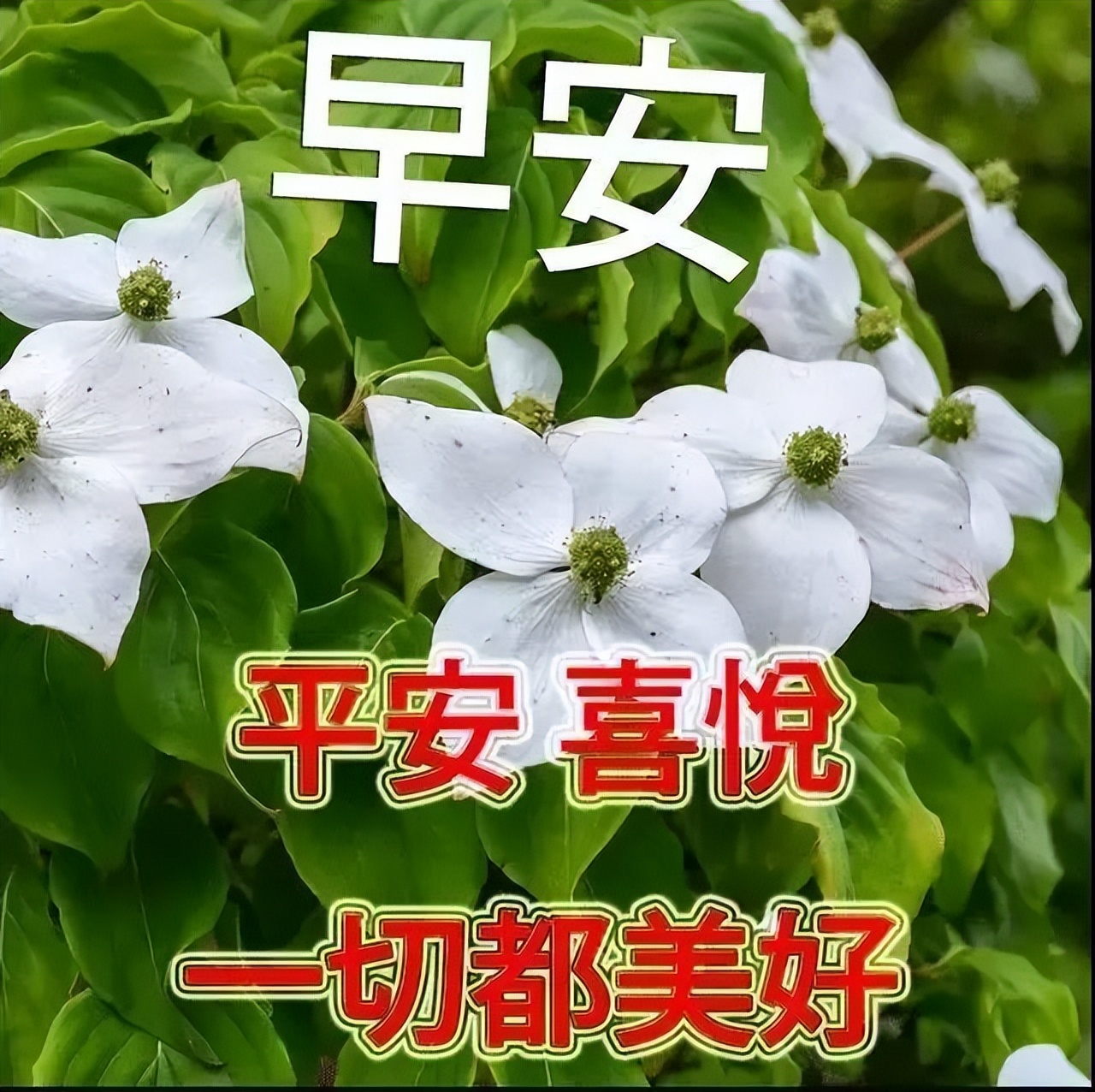早上好祝福 长长久久，平平安安 做人就要沉下心来，踏踏实实去努力图片
