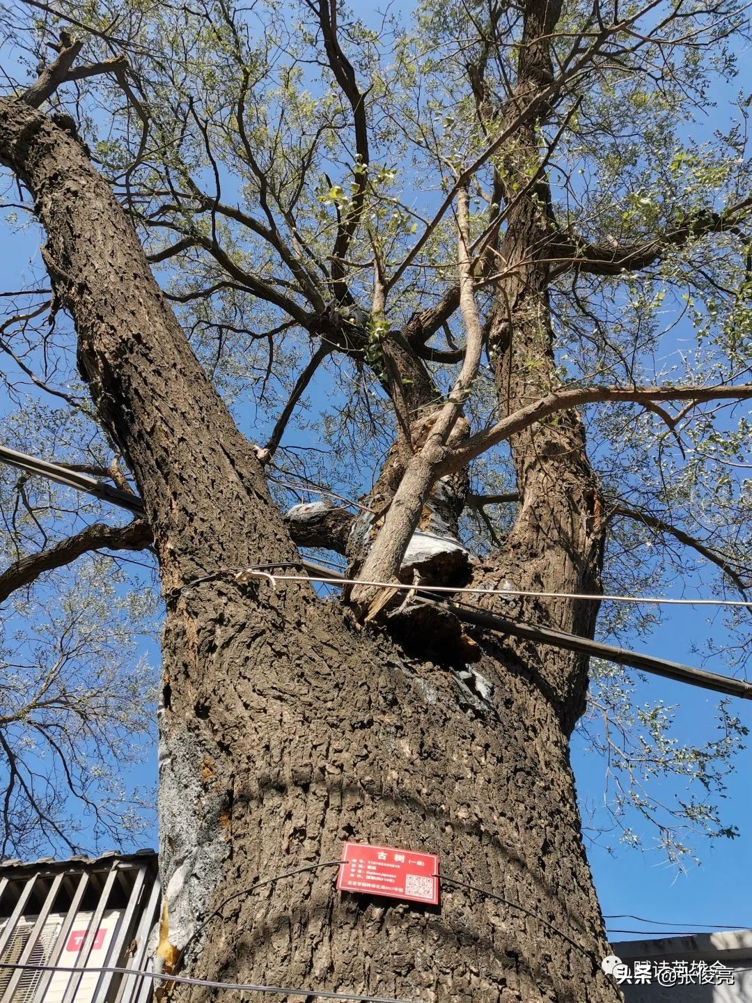 七律之四十更惑