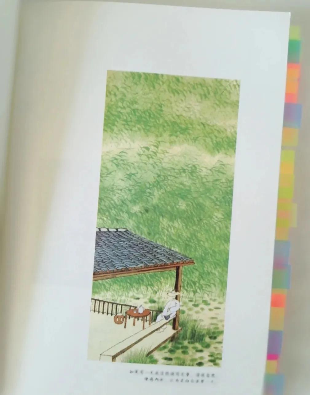 《心安即是归处》每一句都写进了心坎里