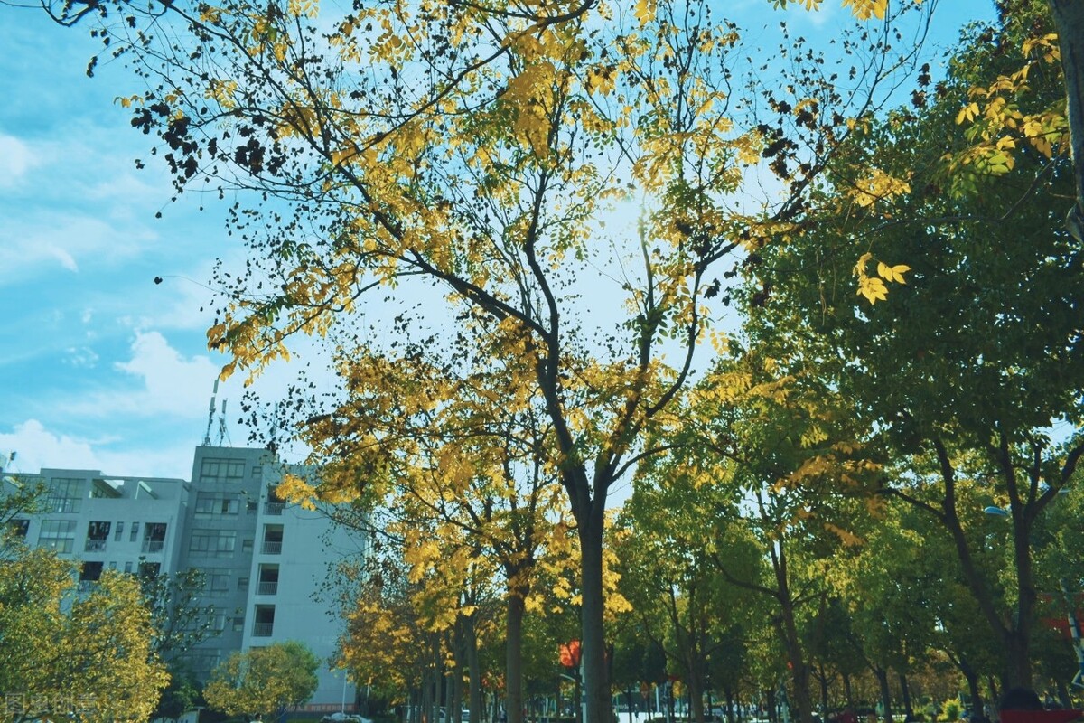 云南办学水平极好的5所高职院校，奉上单招专业的相关数据，收藏