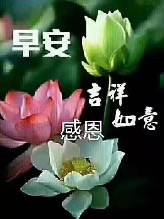 今日清晨早上好问候动态表情包图片 笑看昨日，珍爱今日，期待明日图片