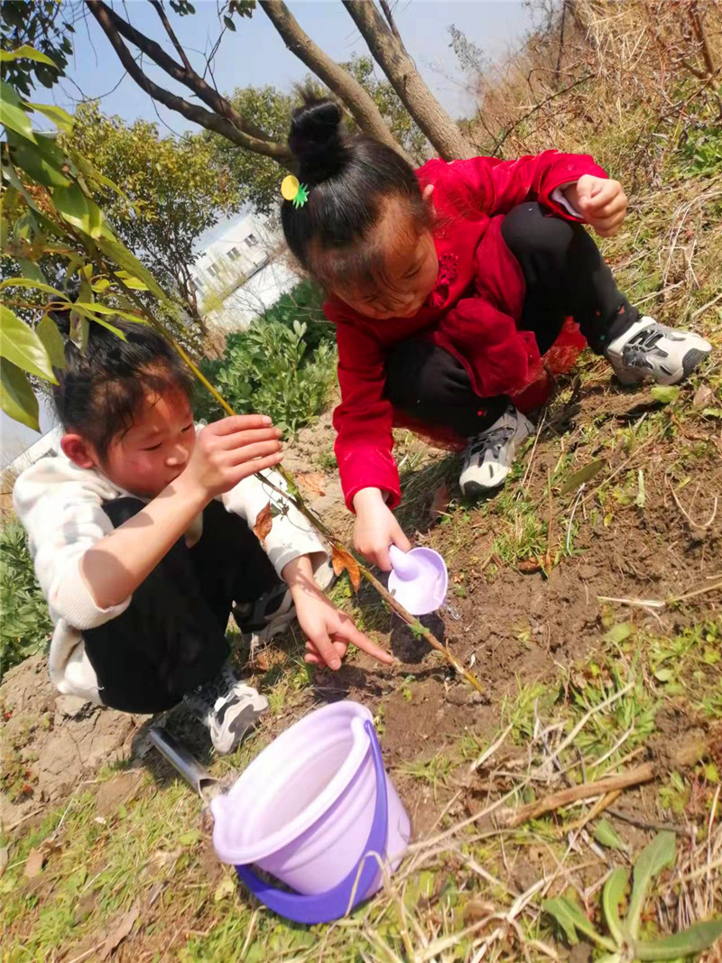 种一棵小树，绿一方净土