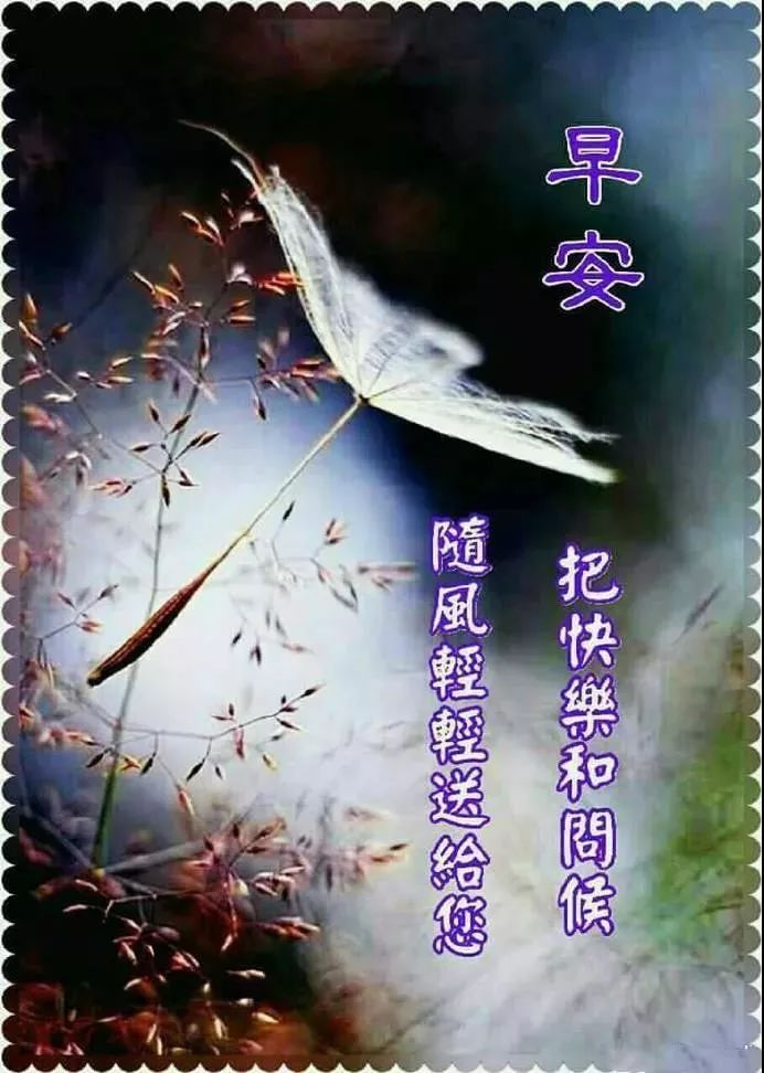 夏日漂亮早上好动态表情图片大全，暖心的问候、轻轻送给你图片