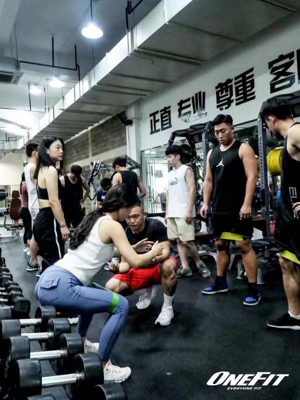 一文正确认识臀肌，了解翘臀的基础