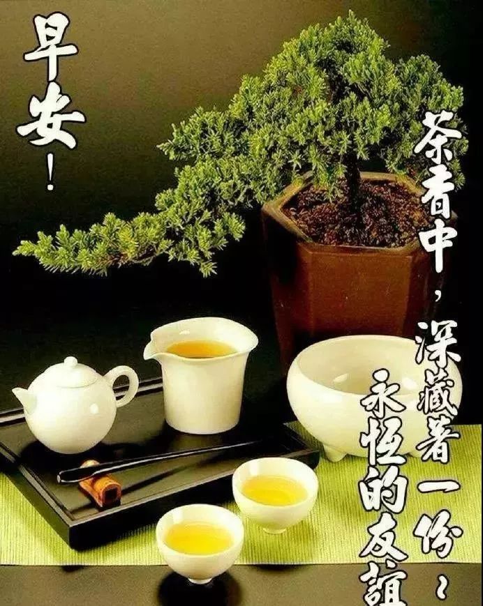 早上好祝福问候语大全 早上好的句子带图片图片